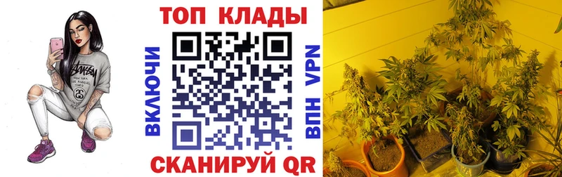 Купить закладку Калач-на-Дону Гашиш  Бошки Шишки  Alpha-PVP  Меф 