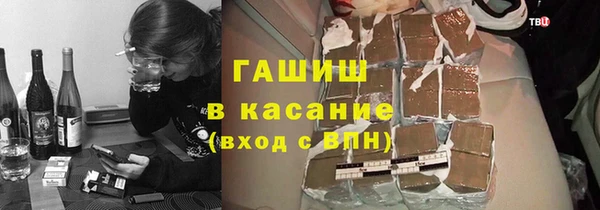 стаф Алзамай