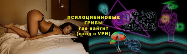 хмурый Алексин