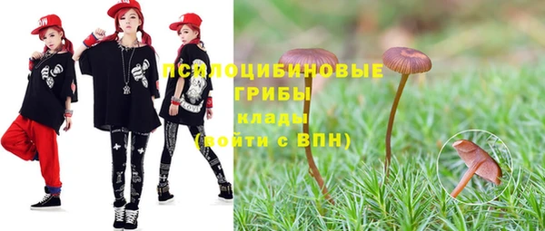 хмурый Алексин